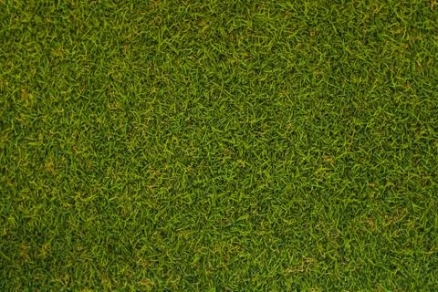 Grass floor Stock Photos
