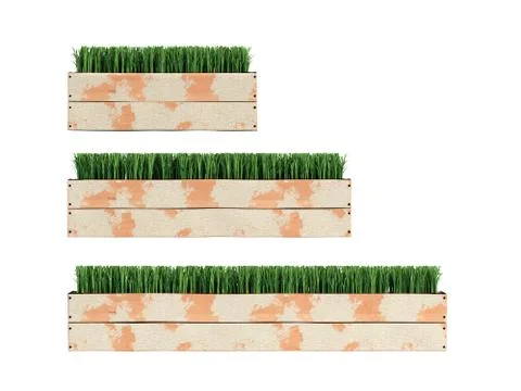 Grass in a flowerpot collection 3d render on a white background Stock Illustration