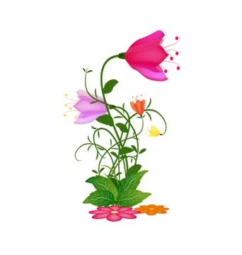 Grass With Flowers Stock Illustration