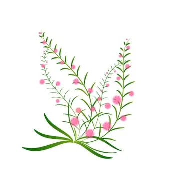 Grass With Flowers Stock Illustration
