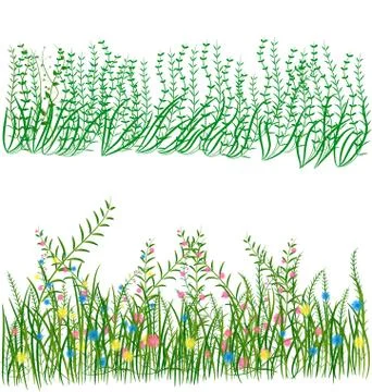 Grass With Flowers Illustrazione stock