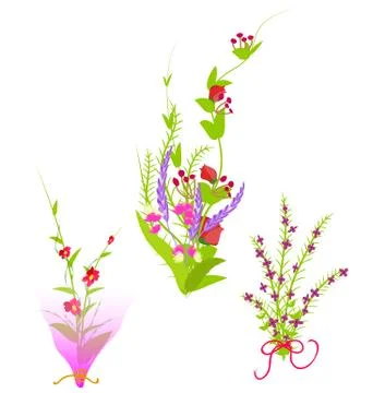 Grass With Flowers Stock Illustration
