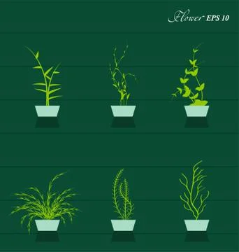 Grass With Flowers Stock Illustration