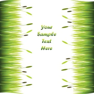 Grass with flowers Illustrazione stock