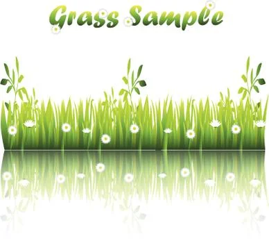 Grass with flowers Illustrazione stock