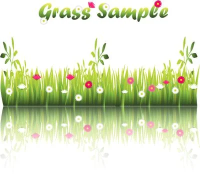 Grass with flowers Stock Illustration