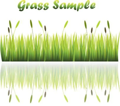 Grass with flowers Stock Illustration