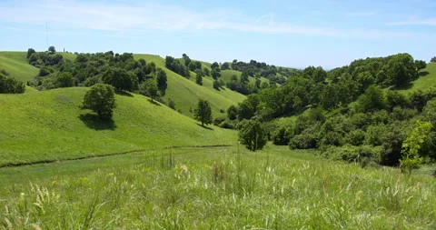 Grass fluttering in wind and green rolling hills with trees in background Stock Footage 263092691