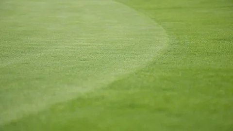 Grass Focus Pull Stock Footage 127036002