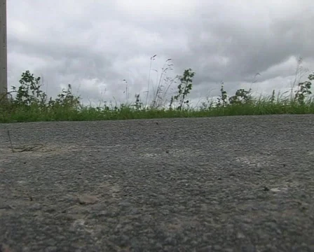 Grass Stock Footage 449750