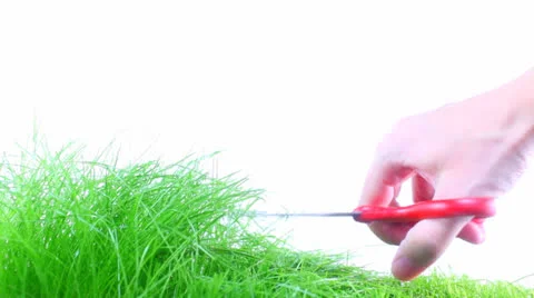 Grass Видео 23116321