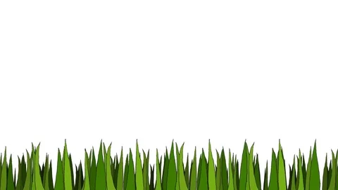 Grass Stockbeeldmateriaal 95705656