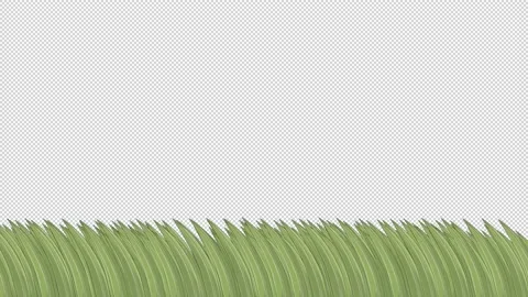 Grass Stock Footage