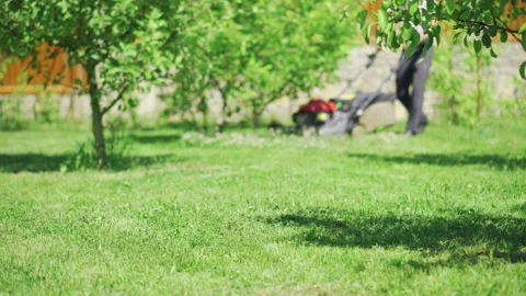 Grass in the foreground and a man with a lawnmower approaching in the background Stock Footage 200770529