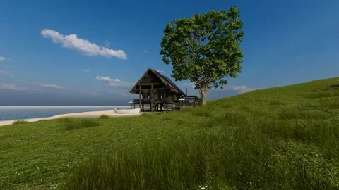 Grass foreground outdoor and big tree of tropical wooden house architecture d Stock Footage 184875278