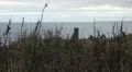 Grass in foreground of a tower and ruin. Ocean in the background, Peel Castle HD Footage