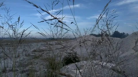 Grass in the former mine Stock Footage 199891989