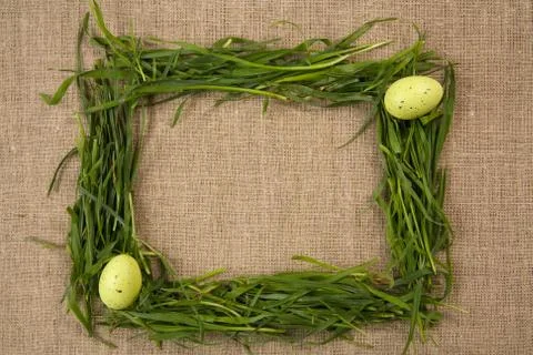 Grass frame with eggs Foto stock
