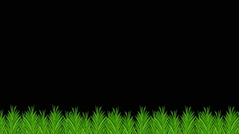 Grass Frame Stock Footage 171195326