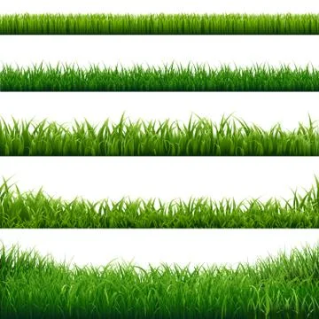 Grass Frame Stock Illustration