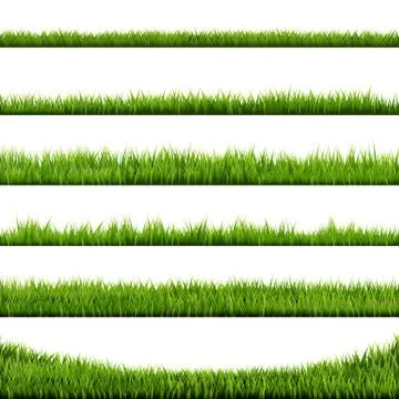 Grass Frame Stock Illustration