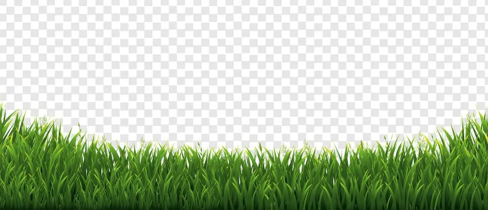 Grass Frame With In Isolated Transparent Background Stock Illustration