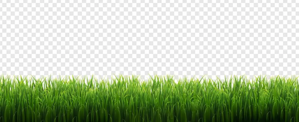 Grass Frame Isolated Transparent Background Stock Illustration