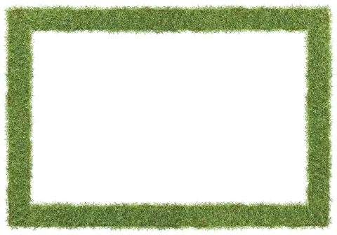Grass frame Stock Photos