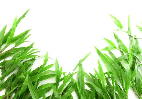 Grass frame with space for text Stock Photos