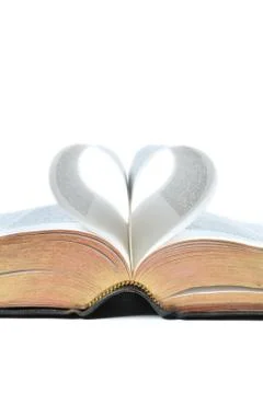 Grass frame, thin area of grass in focus, grass detail Stock Photos