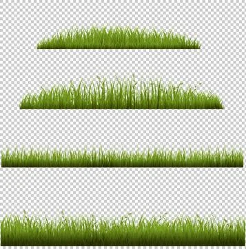 Grass Frame In Transparent Background Stock Illustration