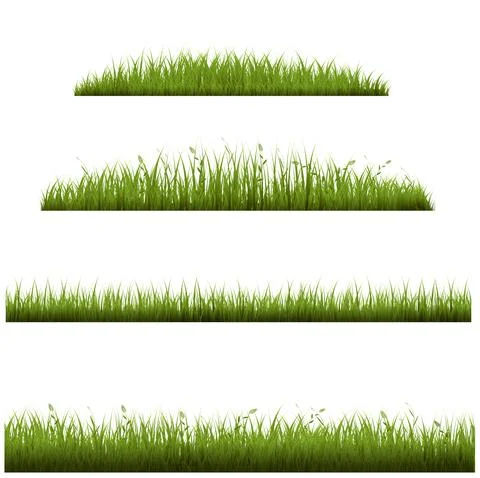 Grass Frame In Transparent Background Stock Illustration