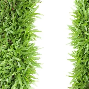 Grass frame on white background Stock Photos