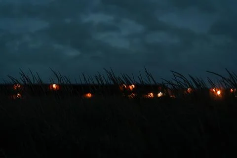 Grass frames distant lights on the New York coast beneath heavy clouds. Dar.. 库存照片