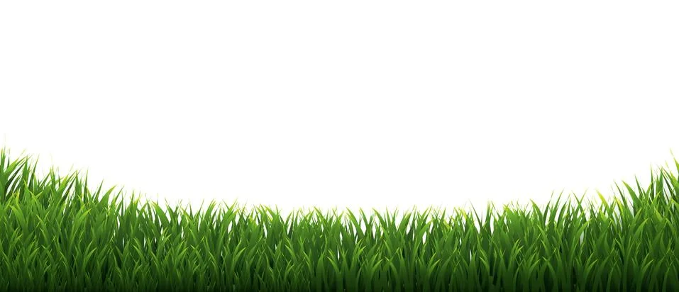 Grass Frames Set In Isolated White Background Stock Illustration