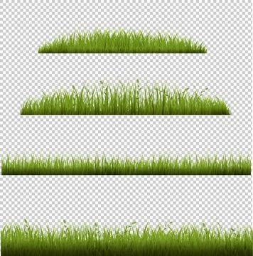 Grass Frames In Transparent Background Stock-Illustration