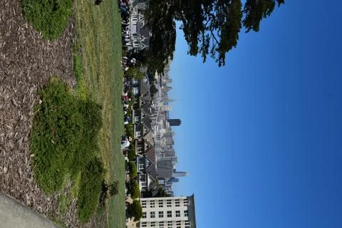 Grass Front City 스톡 사진