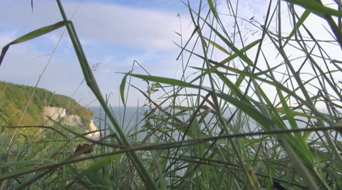 Grass In Front Of Coast Line And Cliff Of Rügen Island Stock Footage 36835368