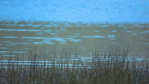 Grass in Front of Paulina Stock Footage 90582733