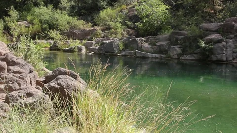 Grass Gently Moving Creekside Stock Footage 78033812