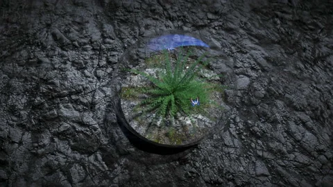 Grass in glass sphere in outer space. Ecology concept. 3d rendering. Stock Footage 132664529