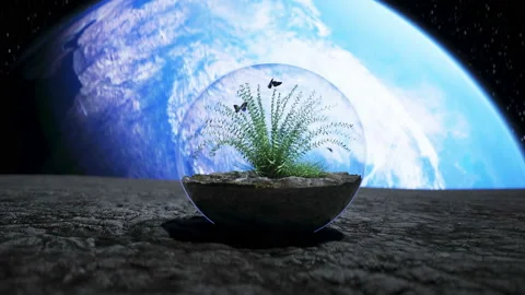 Grass in glass sphere in outer space. Ecology concept. 3d rendering. Stock-Footage 132665034