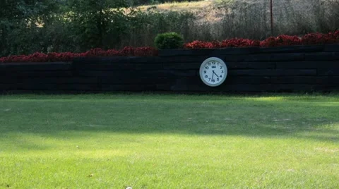 Grass at golf field Stock Footage 53218148