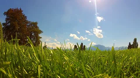 Grass gp Stock Footage 11900870