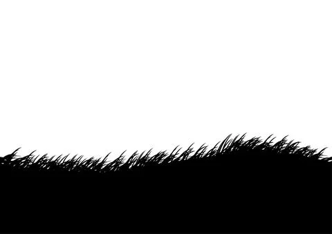 Grass graphics design vector illustration for wallpaper background Illustrazione stock