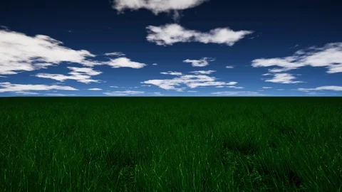 Grass Grassland Meadow Flyover Video stock 106829429