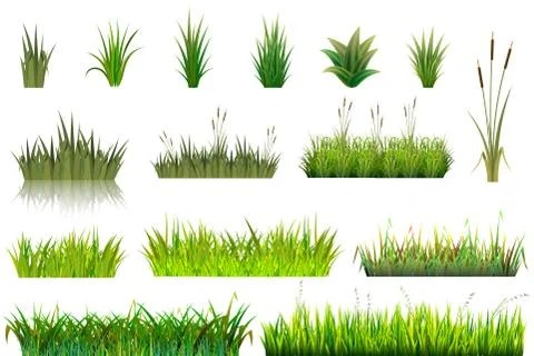 Grass grassland or grassplot and green grassy field illustration gardening set Ilustração Stock