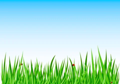 Grass green background Stock Illustration
