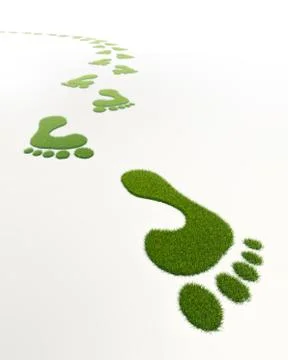 Grass green footprints Stock Illustration