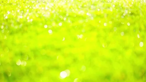 Grass green lawn Stock Footage 80712729